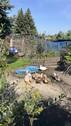 NACHBARN - 
