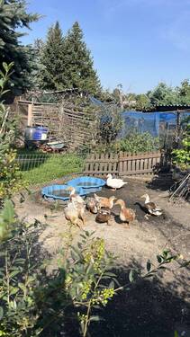 NACHBARN - 