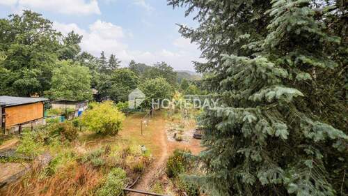 Ausblick - 