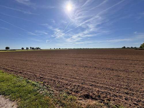 WeitBlick - 