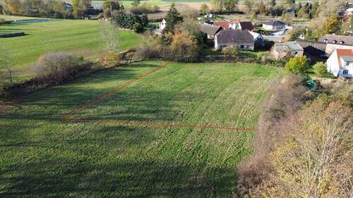 Wiese - 