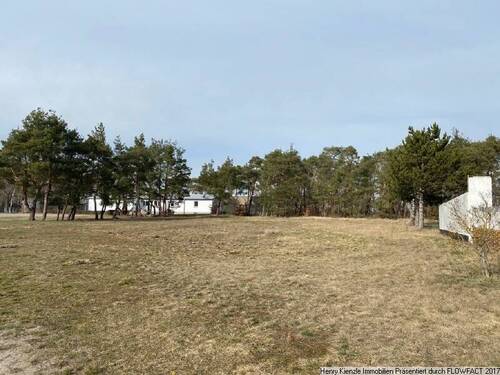 Bild 1 - Baugrundstück mit Wald- und Ackerflächen! Nur 20 Minuten Bad Liebenwerda!