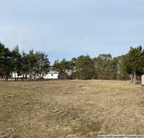 Baugrundstück mit Wald- und Ackerflächen! Nur 20 Minuten Bad Liebenwerda! - Rückersdorf Friedersdorf