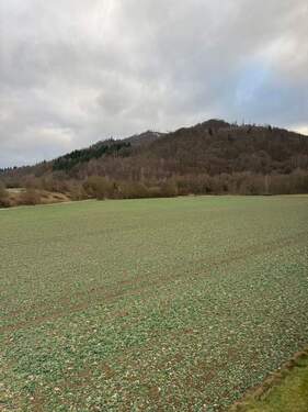 Ausblick 3. Zimmer.JPEG - 