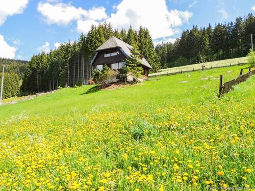 Außenansicht - Rückzugsort im Schwarzwald: Charmantes Schwarzwaldhaus in Alleinlage mit 1.482 m² Naturgrundstück