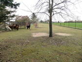 Gartenausschnitt - 