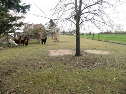 Gartenausschnitt - 