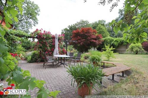 Terrasse am Wohnzimmer - 8 Zimmer Einfamilienhaus in Meißen