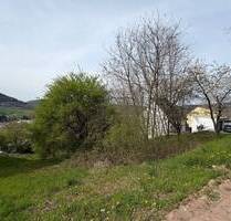 Exklusives Baugrundstück in Miltenberg - Ideal für Ihr Traumhaus