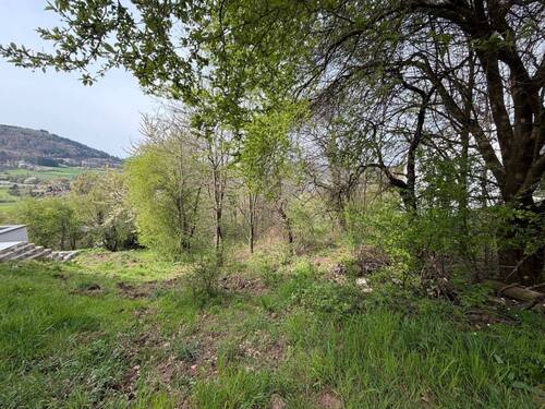 Grundstück - Grundstück in Miltenberg zum Kaufen