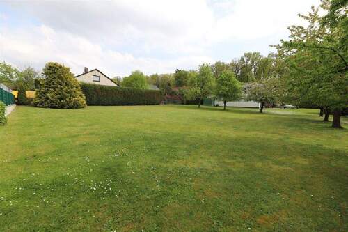 Garten / Bauplatz - 