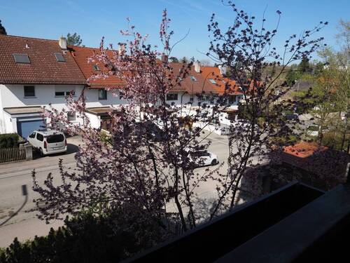 Ausblick - 