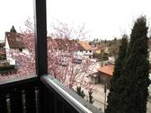Ausblick - 