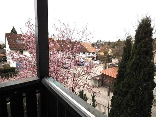 Ausblick - 