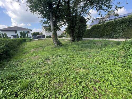 Bild 1 - Exklusives Baugrundstück in Toplage am Weißer Rheinbogen - Köln-Rodenkirchen (Weiß)