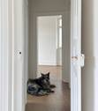 Bild 12 - 