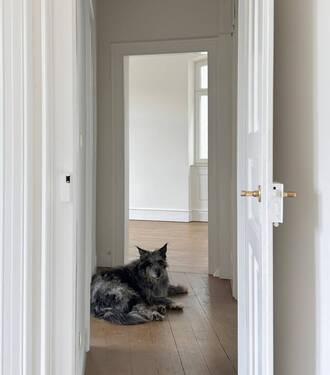 Bild 12 - 