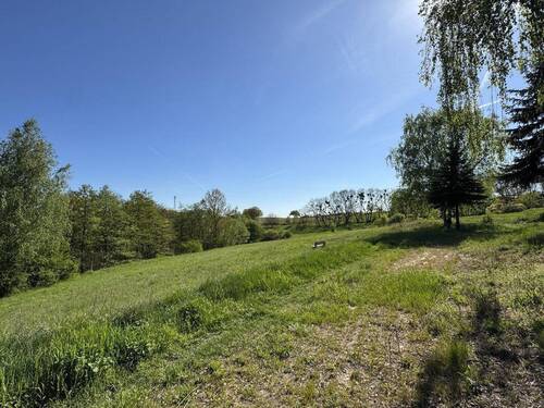 Bild 13 - 