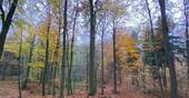 Bild 18 - 
