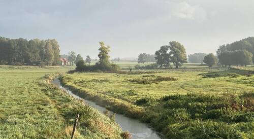 Bild 19 - 