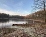 Bild 20 - 