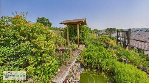 Garten mit Teich - 