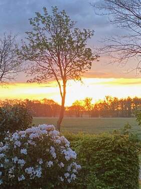 Blick aus Haustür - 