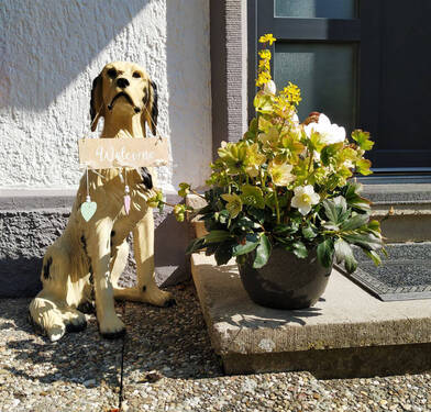 HERZLICH WILLKOMMEN! - 4 Zimmer Einfamilienhaus in Bad Mergentheim