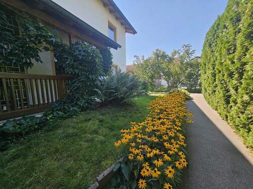 Garten - 