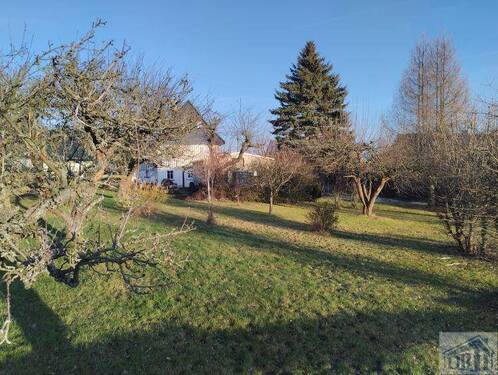 hinterer Grundstücksbereich - 