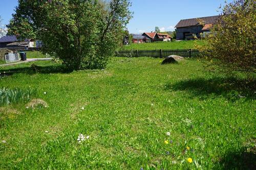 Der Garten - 