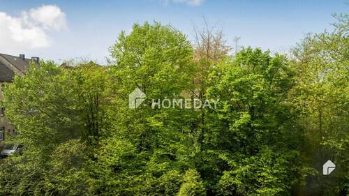 Ausblick - 