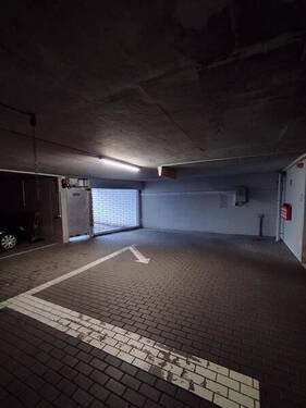 IMG_20231219_085733 - 