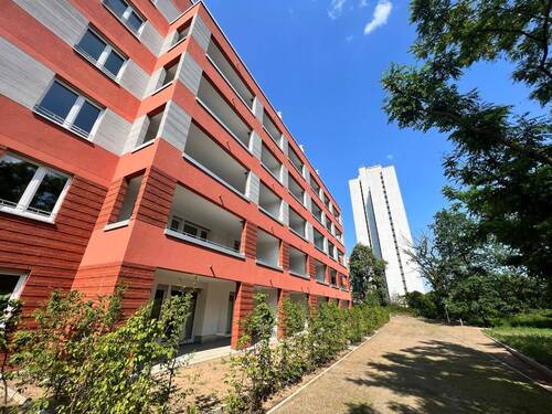 Rückansicht der Mehrfamilienhäuser mit Loggien, umgeben von grünen Sträuchern - 3 Zimmer Etagenwohnung zur Miete in Frankfurt am Main