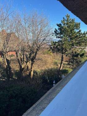 Nord-Ost-Blick im März - 