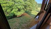 Ausblick Rückseite Haus - 