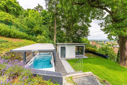 Pool & Jacuzzi - 