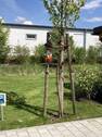 Bild 2 - Garage, Stellplatz in Straubing