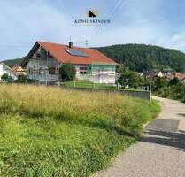 Provisionsfrei mit Baugenehmigung! Großes Grundst. in bester Lage! Bebaubar mit bis zu 8 RH möglich! - Burladingen Gauselfingen