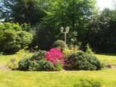 Gartenbepflanzung - 