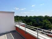 Ausblick von der Wohnung auf den Frankfurter Stadtwald - Etagenwohnung mit 120,50 m&sup2; in Frankfurt am Main zur Miete