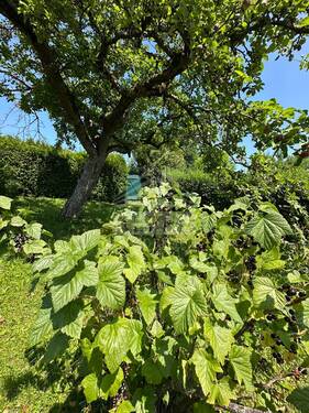 image00016 - 