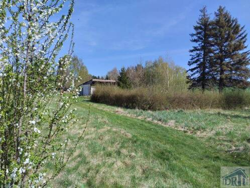 Natur pur! - 3 Zimmer Einfamilienhaus zum Kaufen in Großschönau