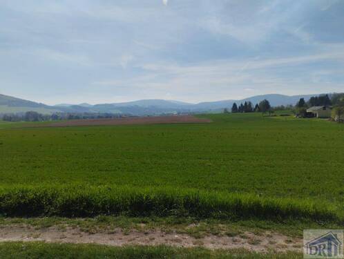 Zittauer Gebirge - 