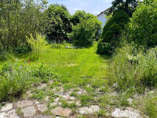 Blick vom Haus in den Garten - 