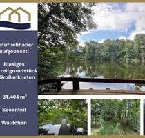 Exklusive Seeliegenschaft in Großenkneten 31.404m² Naturidyll mit privatem Steg und eigenem Wäldchen