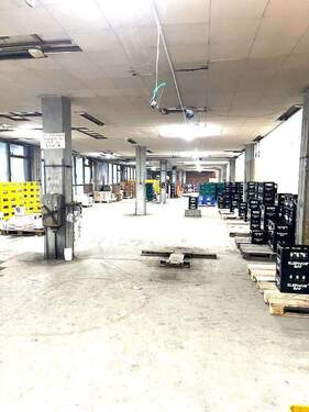 Halle - Halle in Mannheim