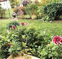 Großzügige 4 Zimmer Wohnung mit Gartenidylle und Sonnenterrasse - Margetshöchheim