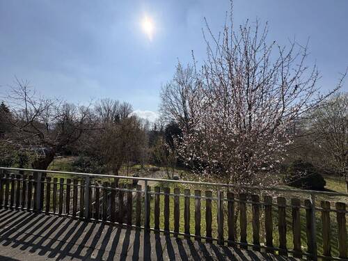 Blick von der Terrasse - 