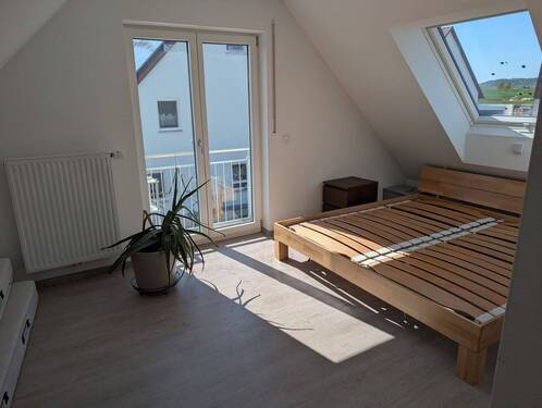 PXL_20260422_140114682.MP.jpg - 